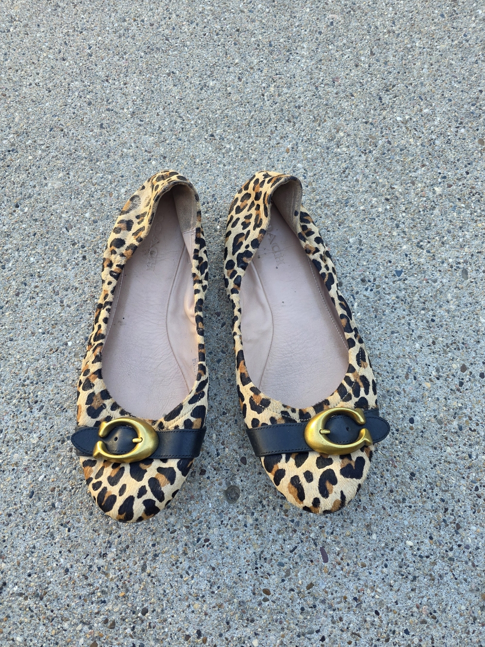 Coach Leather Leopard Print Ballet Flats with Gold Buckle Women Sizs 9.5